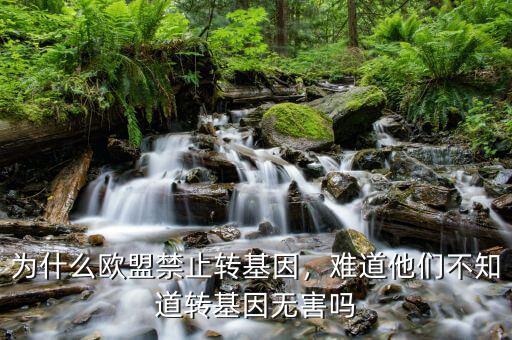 為什么歐盟禁止轉(zhuǎn)基因，難道他們不知道轉(zhuǎn)基因無(wú)害嗎