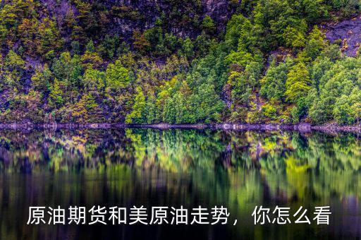 原油期貨和美原油走勢，你怎么看