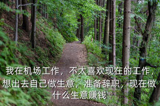 我在機(jī)場工作，不太喜歡現(xiàn)在的工作，想出去自己做生意，準(zhǔn)備辭職，現(xiàn)在做什么生意賺錢