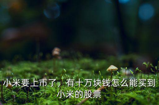 小米要上市了，有十萬塊錢怎么能買到小米的股票