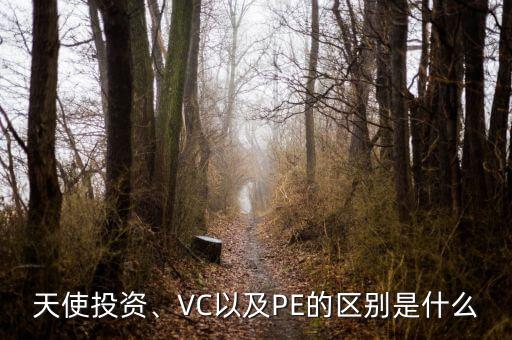 天使投資、VC以及PE的區(qū)別是什么
