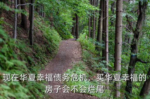 現(xiàn)在華夏幸福債務(wù)危機，買華夏幸福的房子會不會爛尾