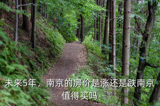 未來5年，南京的房價是漲還是跌南京值得買嗎