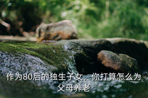 作為80后的獨(dú)生子女，你打算怎么為父母養(yǎng)老