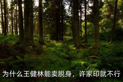 為什么王健林能賣脫身，許家印就不行