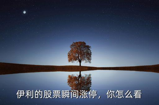 伊利的股票瞬間漲停，你怎么看