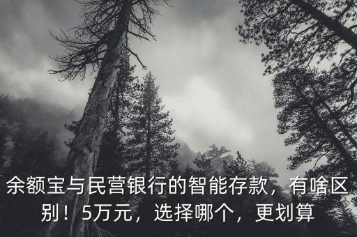 余額寶與民營銀行的智能存款，有啥區(qū)別！5萬元，選擇哪個，更劃算