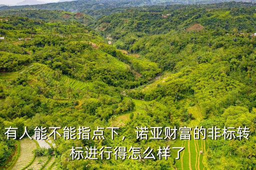 有人能不能指點下，諾亞財富的非標轉(zhuǎn)標進行得怎么樣了