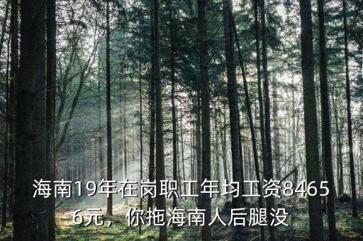 海南19年在崗職工年均工資84656元，你拖海南人后腿沒