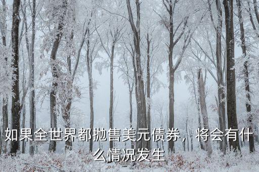 如果全世界都拋售美元債券，將會(huì)有什么情況發(fā)生