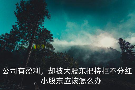 公司有盈利，卻被大股東把持拒不分紅，小股東應(yīng)該怎么辦
