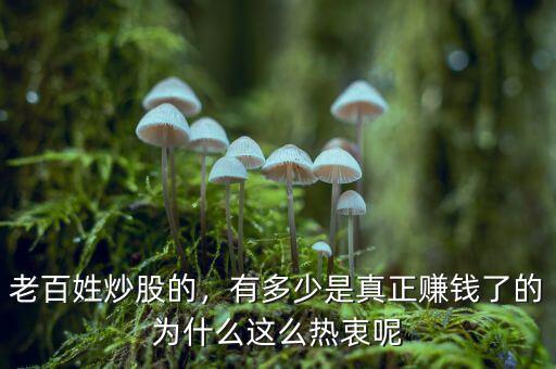 老百姓炒股的，有多少是真正賺錢(qián)了的為什么這么熱衷呢