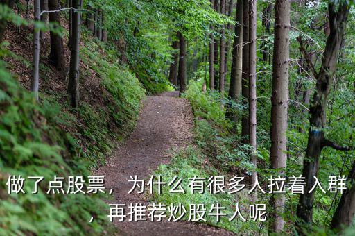 做了點(diǎn)股票，為什么有很多人拉著入群，再推薦炒股牛人呢