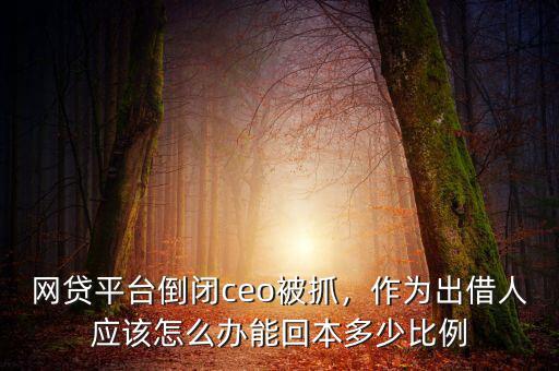 網(wǎng)貸平臺(tái)倒閉ceo被抓，作為出借人應(yīng)該怎么辦能回本多少比例