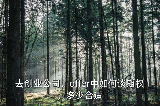 去創(chuàng)業(yè)公司，offer中如何談期權(quán)，多少合適