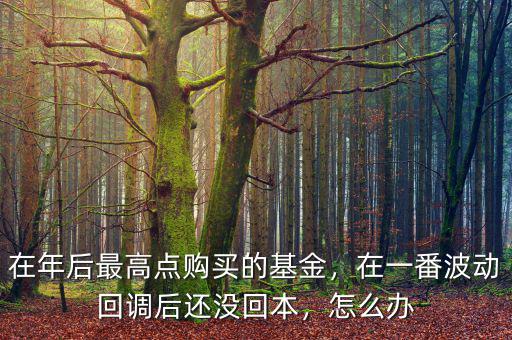 在年后最高點(diǎn)購(gòu)買(mǎi)的基金，在一番波動(dòng)回調(diào)后還沒(méi)回本，怎么辦
