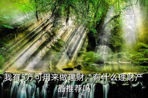 我有5萬(wàn)可用來(lái)做理財(cái)，有什么理財(cái)產(chǎn)品推薦嗎