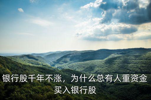 銀行股千年不漲，為什么總有人重資金買入銀行股