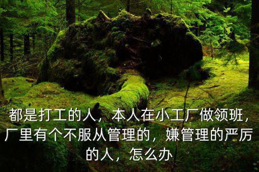 都是打工的人，本人在小工廠做領(lǐng)班，廠里有個不服從管理的，嫌管理的嚴(yán)厲的人，怎么辦