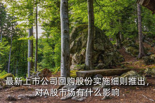 最新上市公司回購(gòu)股份實(shí)施細(xì)則推出，對(duì)A股市場(chǎng)有什么影響