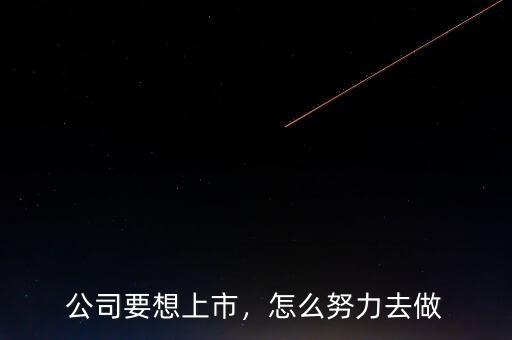 公司要想上市，怎么努力去做