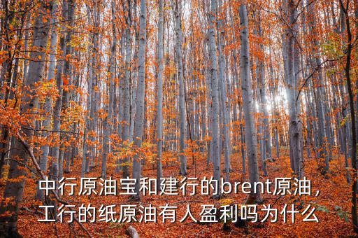 中行原油寶和建行的brent原油，工行的紙原油有人盈利嗎為什么