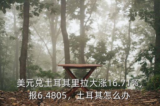 美元兌土耳其里拉大漲16.71%，報6.4805，土耳其怎么辦