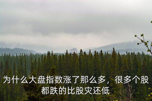 為什么大盤指數(shù)漲了那么多，很多個股都跌的比股災(zāi)還低