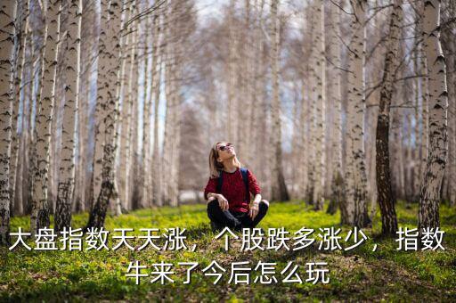 大盤指數(shù)天天漲，個(gè)股跌多漲少，指數(shù)牛來了今后怎么玩