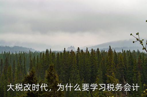 大稅改時(shí)代，為什么要學(xué)習(xí)稅務(wù)會(huì)計(jì)
