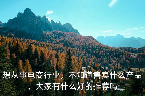 想從事電商行業(yè)，不知道售賣什么產(chǎn)品，大家有什么好的推薦嗎