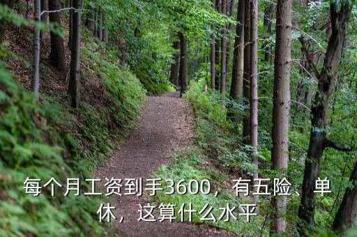 每個(gè)月工資到手3600，有五險(xiǎn)、單休，這算什么水平