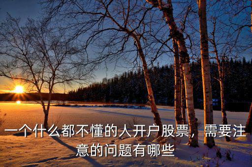 一個什么都不懂的人開戶股票，需要注意的問題有哪些