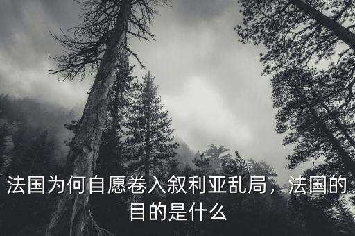法國(guó)為何自愿卷入敘利亞亂局，法國(guó)的目的是什么
