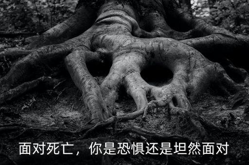 面對死亡，你是恐懼還是坦然面對