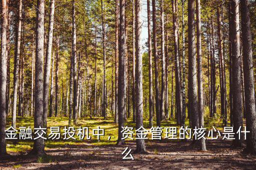 金融交易投機(jī)中，資金管理的核心是什么