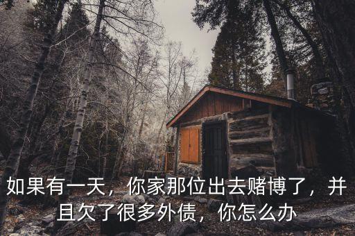 如果有一天，你家那位出去賭博了，并且欠了很多外債，你怎么辦