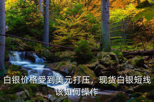 白銀價(jià)格受到美元打壓，現(xiàn)貨白銀短線該如何操作