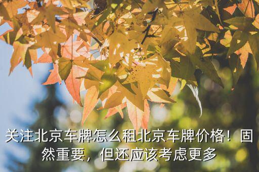 4s店租車牌多少錢(qián)一年,或者租金一年多少錢(qián)