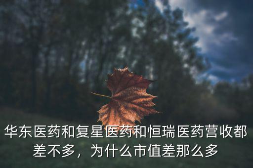 華東醫(yī)藥和復星醫(yī)藥和恒瑞醫(yī)藥營收都差不多，為什么市值差那么多