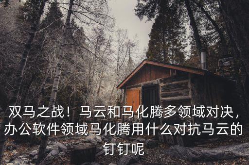 雙馬之戰(zhàn)！馬云和馬化騰多領域?qū)Q，辦公軟件領域馬化騰用什么對抗馬云的釘釘呢