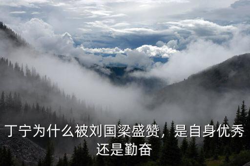 丁寧為什么被劉國(guó)梁盛贊，是自身優(yōu)秀還是勤奮