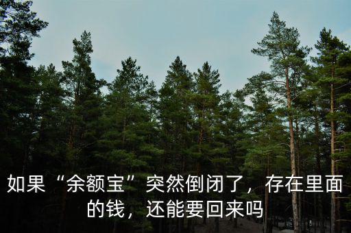 如果“余額寶”突然倒閉了，存在里面的錢，還能要回來嗎