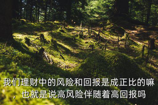 我們理財中的風(fēng)險和回報是成正比的嘛，也就是說高風(fēng)險伴隨著高回報嗎
