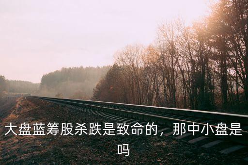 大盤藍(lán)籌股殺跌是致命的，那中小盤是嗎