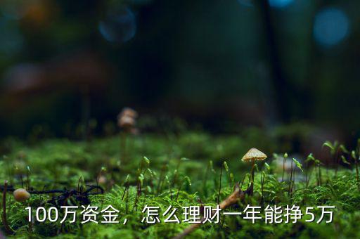 100萬資金，怎么理財一年能掙5萬