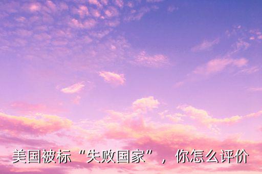美國被標“失敗國家”，你怎么評價
