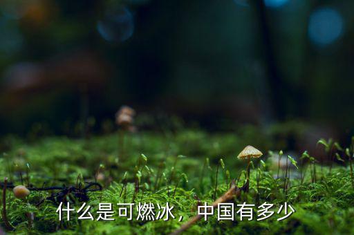 什么是可燃冰，中國有多少