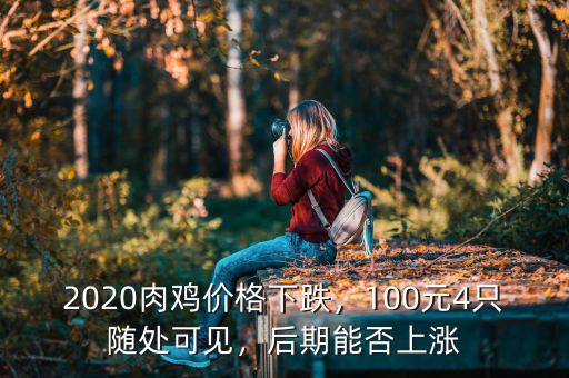 2020肉雞價格下跌，100元4只隨處可見，后期能否上漲