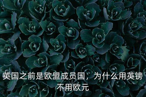 英國之前是歐盟成員國，為什么用英鎊不用歐元